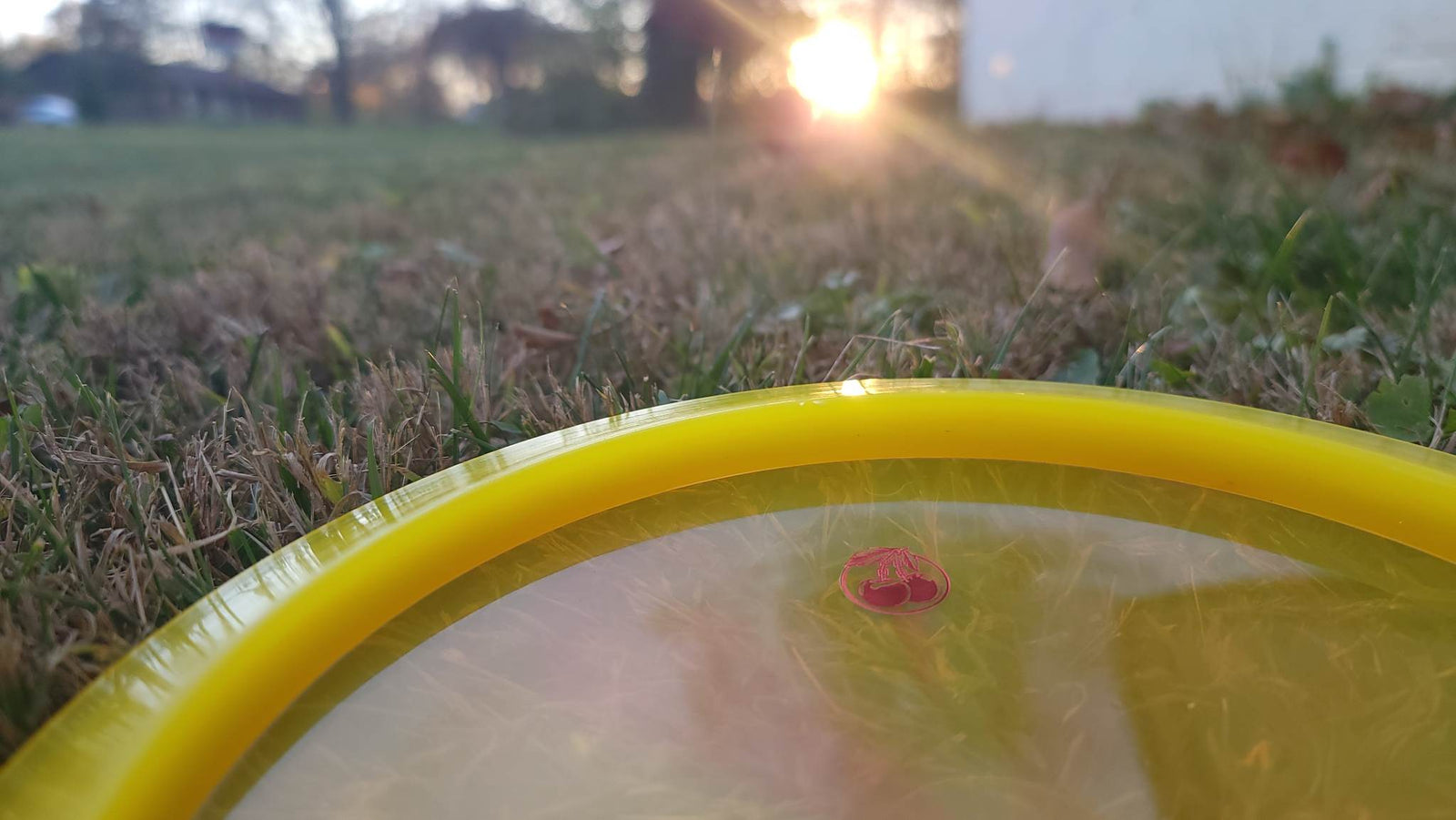 About Us Pie Pan Discs